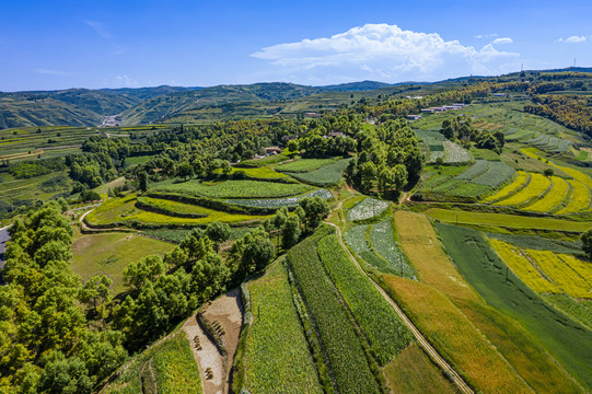 山坡丘陵梯田