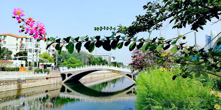 小桥河水花开