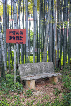 公园竹林的严禁拔笋警示牌