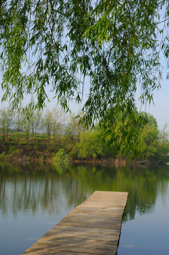 湖畔风景