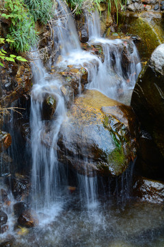 小溪流水