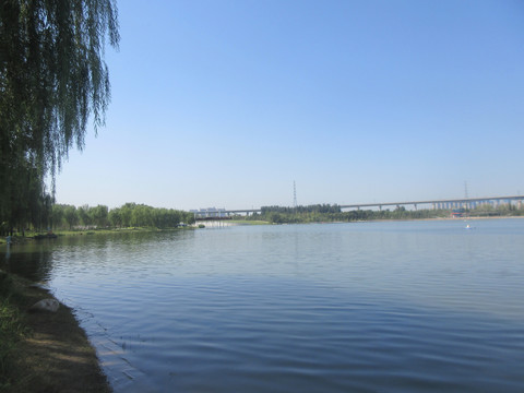郑州蝶湖