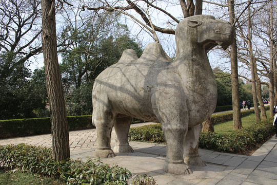 明孝陵神道石骆驼