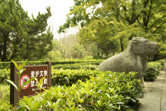 南京明孝陵石象路