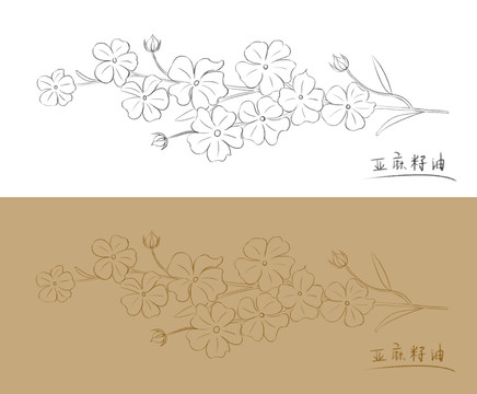 亞麻籽油花卉線描