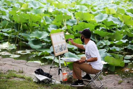 老人荷塘写生