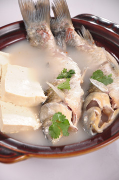 鯽魚豆腐湯