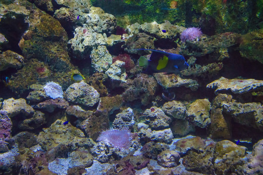 北京動物園海洋館