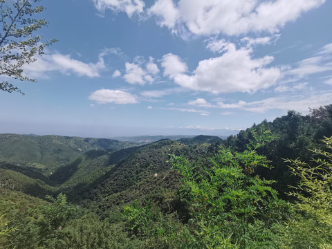 遠山白云