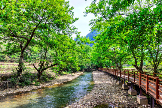 坝美世外桃源风景区河畔栈道