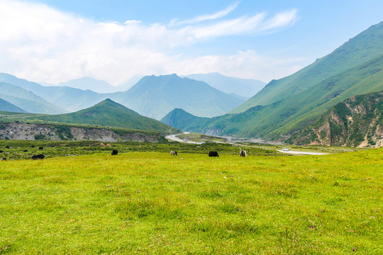 青海拉鸡山