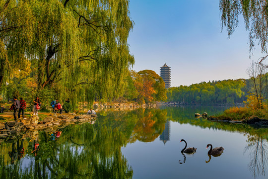 北京大学未名湖