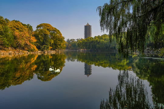 北京大学未名湖