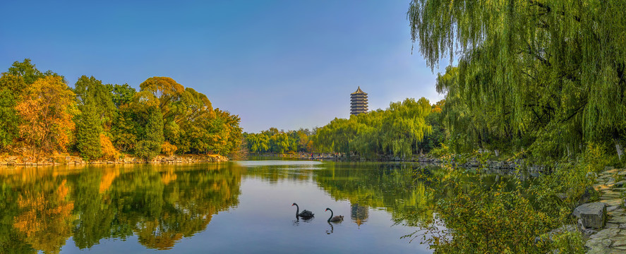 北京大学未名湖