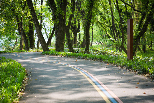 森林公园路