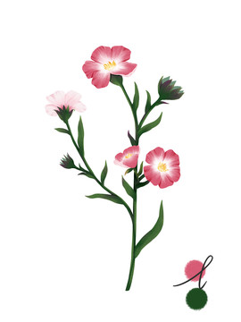 手繪花卉
