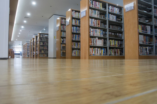 图书馆地板与书架
