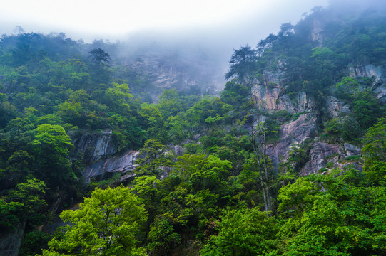 徽杭古道大明山