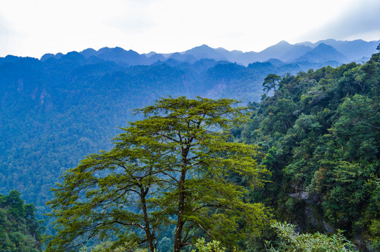 南宁大明山