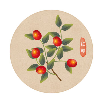 高清手绘红枣水果食品包装插画