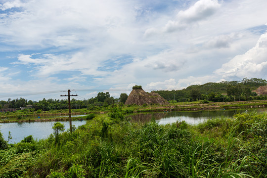 广西防城港红沙村大虾养殖基地