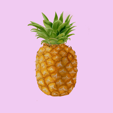 菠蘿手繪