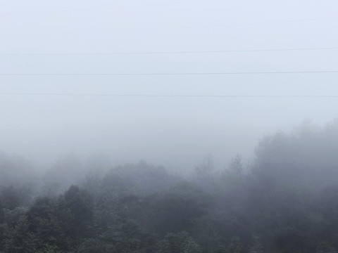 自然景观雾气