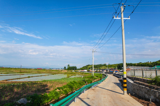 田间路