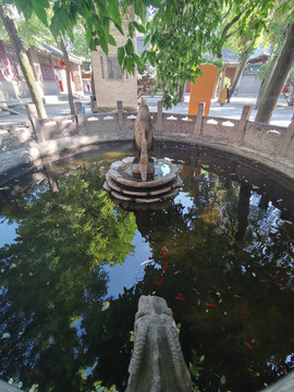 大兴善寺的放生池