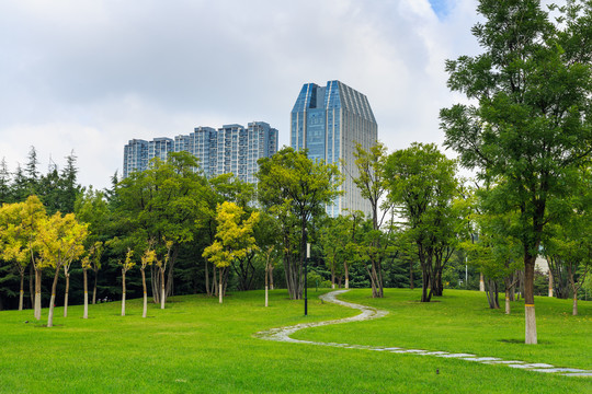 山东潍坊广场绿地城市建筑