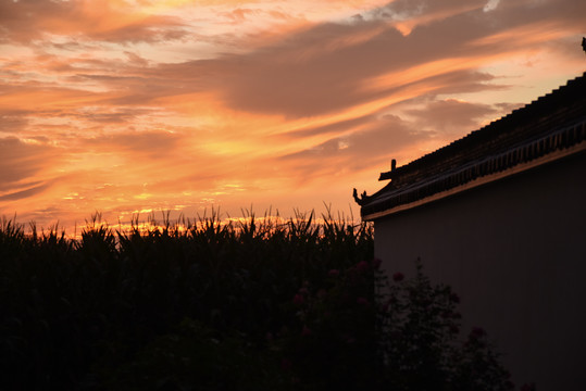 夕阳下的田野