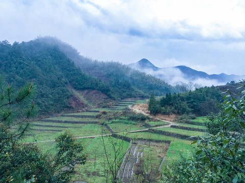 大明山