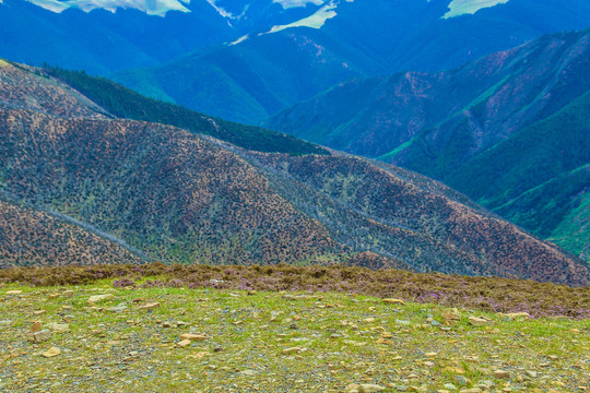 西藏高尔寺山