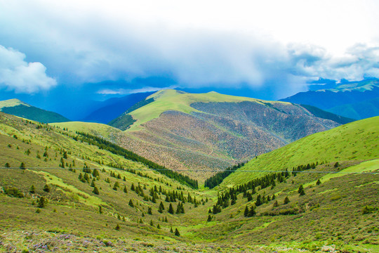 高尔寺山