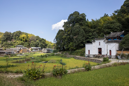 延平茫荡山风光