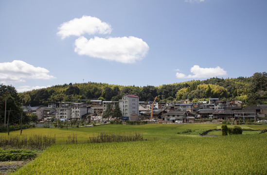 延平茫荡山风光