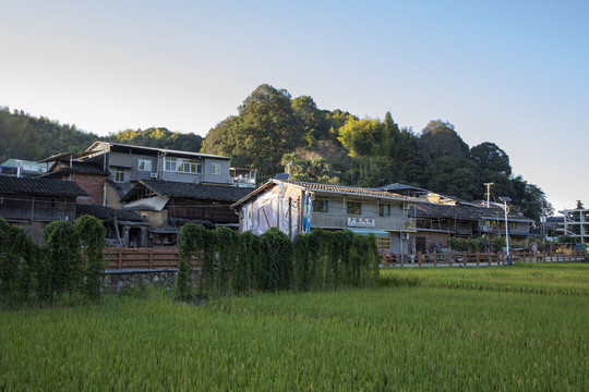 延平茫荡山风光