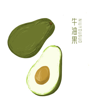 牛油果插畫