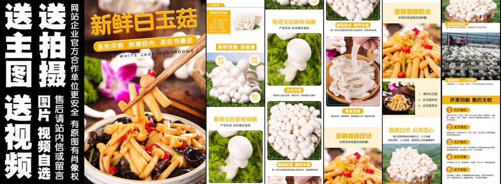 白玉菇詳情