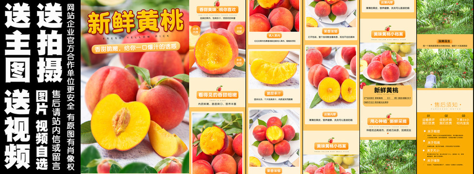 黃桃詳情