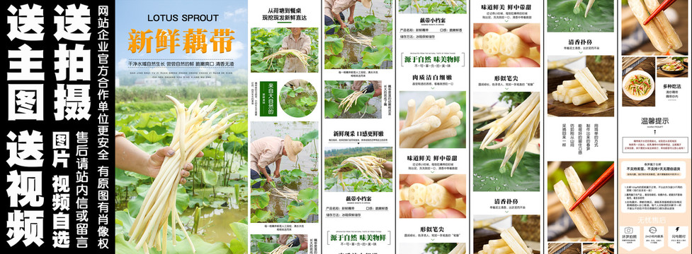 新鮮藕帶