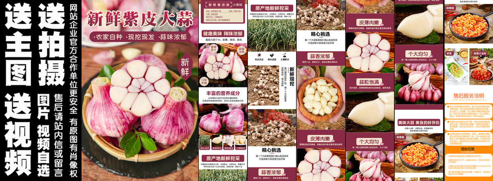 新鮮紫皮大蒜