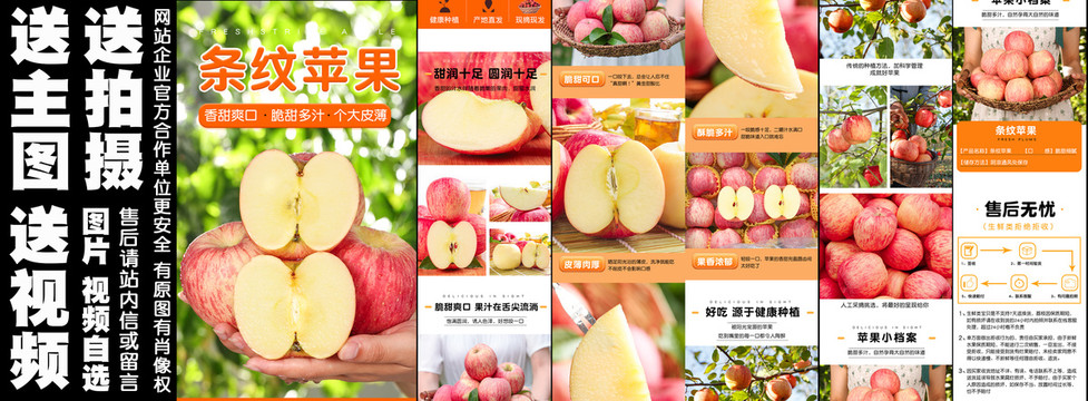 條紋蘋果詳情