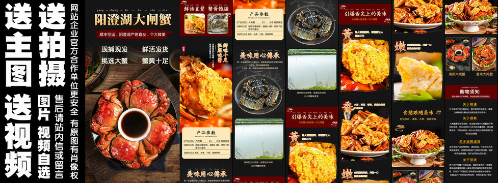 陽澄湖大閘蟹詳情