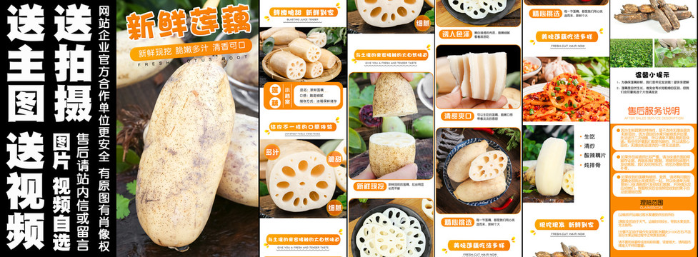 新鮮蓮藕詳情