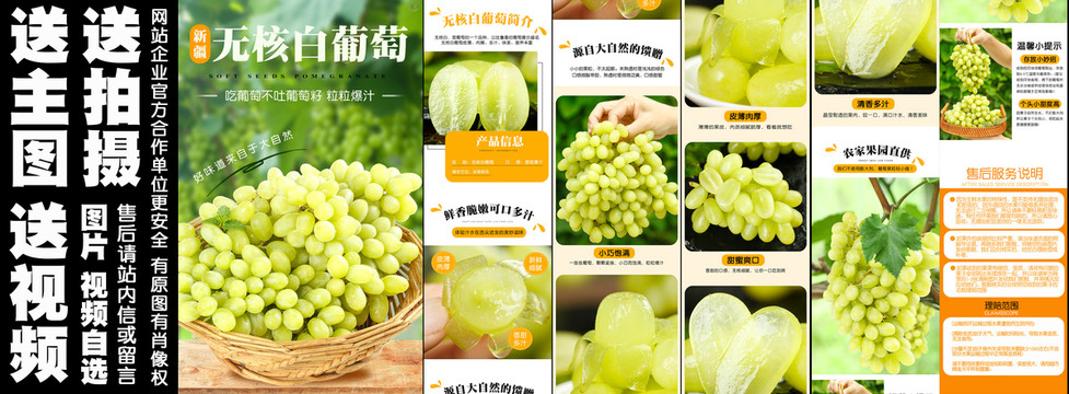 新疆無(wú)核白葡萄