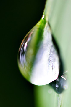 水滴特写