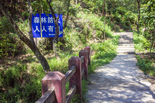 登山阶梯