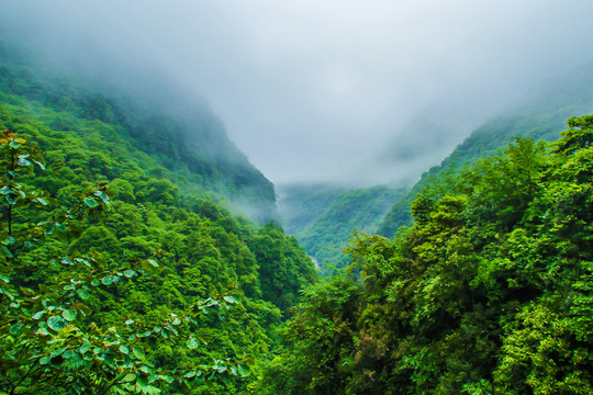 二郎山