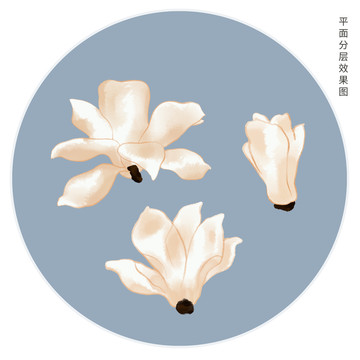 手繪玉蘭花
